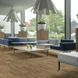 Лінолеум Beauflor Ambient Gambel Oak 662M (4 м)