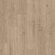 Дуб інфініт сірий вівід (Oak Inﬁnity grey vivid texture)